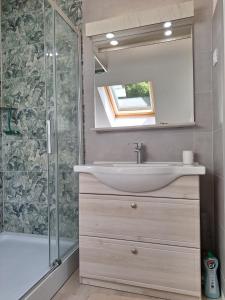 a bathroom with a sink and a shower at Gîte du moulin de Tanis in Oisseau +23 photos