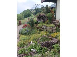 a garden in front of a house at Ferienwohnung Wiesenblick in Oberharmersbach