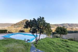 a swimming pool in a field with a tree at Sonho No Mondego in Penacova