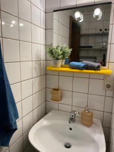 a bathroom with a sink and a mirror at Ulmer Spatzennest in Ulm +19 photos