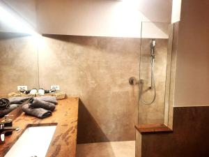 a bathroom with a shower and a sink at Peter Paul Terrassenapp Hocheppan in Appiano Sulla Strada Del Vino +12 photos