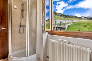 a bathroom with a shower and a window and a radiator at Appartamento Collini Le Betulle in Spiazzo +18 photos