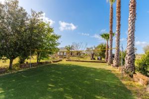 a large yard with palm trees and a goal at Dimora Balu' in Parabita