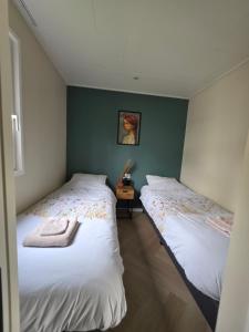 two twin beds in a room with green walls at Sallands Boschalet in Haarle