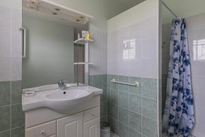 a bathroom with a sink and a shower at Le Pin Franc in Valeyrac +13 photos
