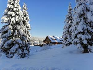 a cabin in the snow with snow covered trees at Ferienwohnung Heustüble in Hinterzarten +2 photos
