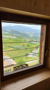 a window with a view of a green field at Truma Swing Castelfondo in Castelfondo