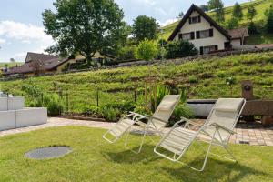 two chairs sitting on the grass in a yard at Moderner Schwarzwaldtraum in Oberharmersbach
