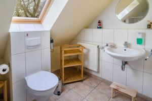 a bathroom with a toilet and a sink at Gulfhof Oldersum Dachgeschoss in Moormerland +18 photos