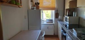 a small kitchen with a refrigerator and a window at Ferienwohnung am Huthainberg in Börnichen