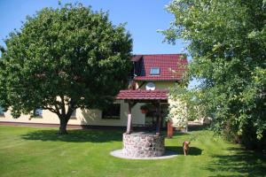 a dog standing in the grass in front of a house at Ferienwohnung Strey in Rosenow