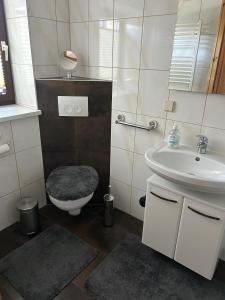 a bathroom with a toilet and a sink at Ferienwohnung Strey in Rosenow +11 photos