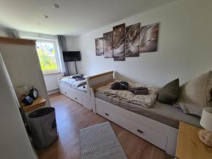 a living room with two beds and a window at Waldstein Terrassen in Weißenstadt