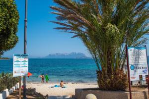 a palm tree on a beach with people on the beach at Appartamento del Cormorano in Olbia