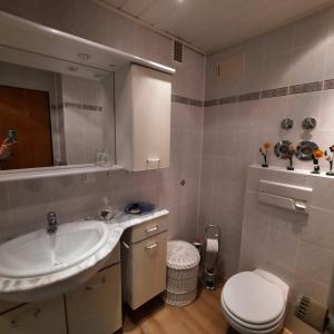 a bathroom with a sink and a toilet and a mirror at Ferienwohnung Hörnleblick in Burgberg +11 photos
