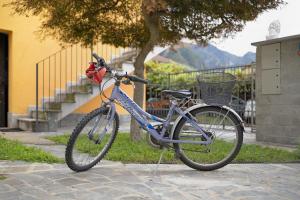 a blue bike parked on a sidewalk next to a tree at La Villa di Ludo in San Cassiano