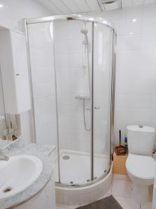 a bathroom with a shower and a toilet and a sink at Gite Notre Désir in Abriès +25 photos