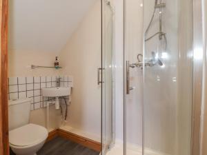 a bathroom with a shower and a toilet and a sink at Daisy Nook in Hull +19 photos