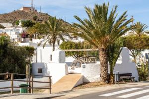 a skateboard ramp with palm trees and a hill at Maracas 2 in El Pozo de los Frailes +17 photos