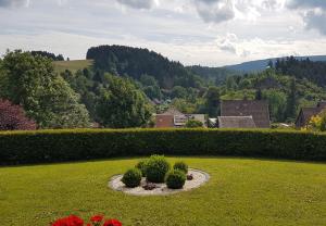 a garden with two bushes and flowers in the grass at Haus Nietmann_ Ferienwohnung 2 in Altenau