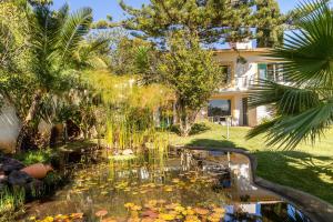 a pond in front of a house with palm trees at Villa Echium T1 in Caniço
