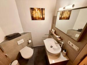 a bathroom with a toilet and a sink and a mirror at Alte Schmiede in Melzow +27 photos