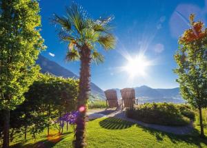 two chairs and a palm tree with the sun in the background at Hofer Hof Spieler in Lagundo