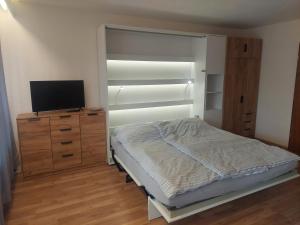 a bedroom with a bed and a tv on a dresser at Appartement Arend in Dobel