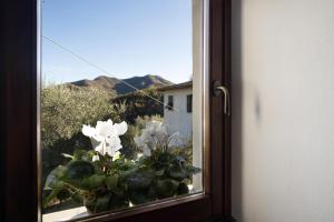 a window with a vase with white flowers in it at Antico Granaio in Vessalico