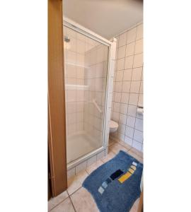 a bathroom with a shower and a blue rug at Ferienwohnung Zum Plauderbaum in Balve +11 photos