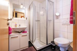 a bathroom with a shower and a toilet and a sink at Hach in Sulzburg +16 photos