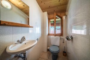 a bathroom with a sink and a toilet and a window at Chalet La Grangerie in Montriond +28 photos