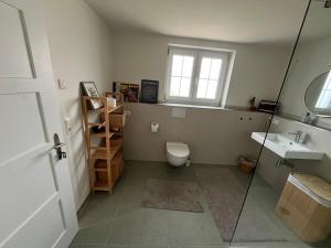 a bathroom with a toilet and a sink and a window at Landhausappartment in Bermatingen +31 photos