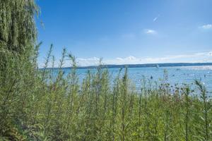 a view of a large body of water with grass at Turmalin in Überlingen