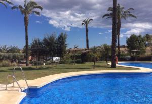 a swimming pool with palm trees in the background at Los Almendros in Vera