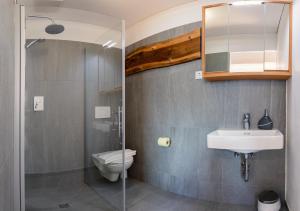 a bathroom with a toilet and a sink and a shower at Vernalhof Apt Panorama Large in Sluderno