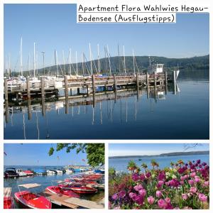 a collage of photos of a marina with boats and flowers at Apartment Flora in Stockach