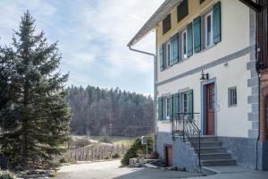 a house with a pine tree next to it at Ferienwohnung am Hopfengarten in Tettnang