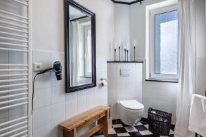 a bathroom with a toilet and a mirror at Landhaus Heiddorf in Neu Kaliß +14 photos