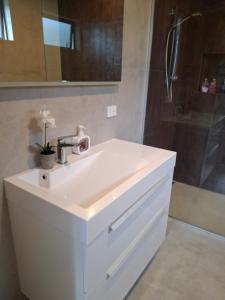 a bathroom with a white sink and a shower at Studio Hugoway Papamoa Beach Winter Special in Papamoa