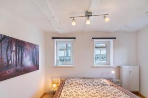 a bedroom with a bed and two windows at Ferienwohnung Omi Anni in Schlitz