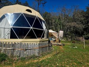 a large dome tent sitting in a field at La Cabane aux Chevaux in Varages +28 photos