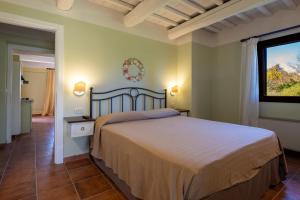 a bedroom with a large bed and a window at Rosaspina - Appartamento 3 in Capalbio