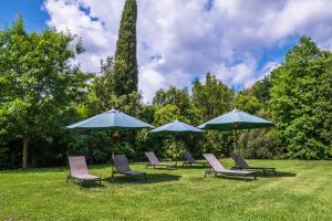 a group of chairs and umbrellas in the grass at Rosaspina - Appartamento 3 in Capalbio