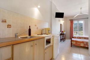 a kitchen with a sink and a counter top at Dolphin Studio Sea View 10 in Keri