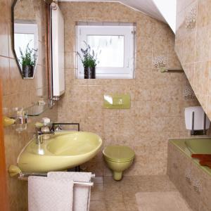 a bathroom with a sink and a toilet at Die Bartlmühle in Windorf +47 photos