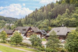 an aerial view of a resort in the mountains at Am Wehrastrand App 5 in Todtmoos