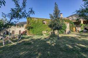 a building covered in ivy with a tree in the yard at Can Cortada in Cantallops