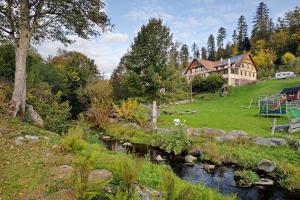 a house on a hill next to a river at Haus Löwen in Forbach