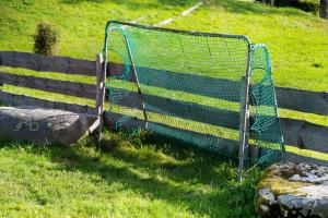 a soccer net sitting on top of a field at Haus Löwen in Forbach